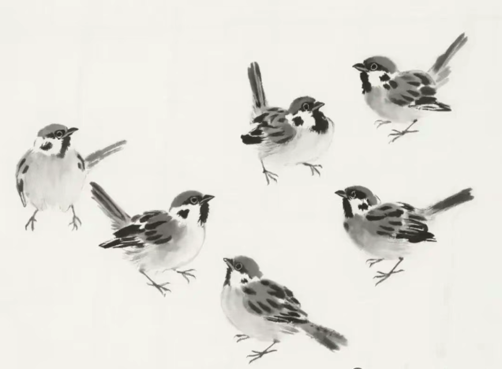 一分钟学会画小麻雀，简单几步即可上手！