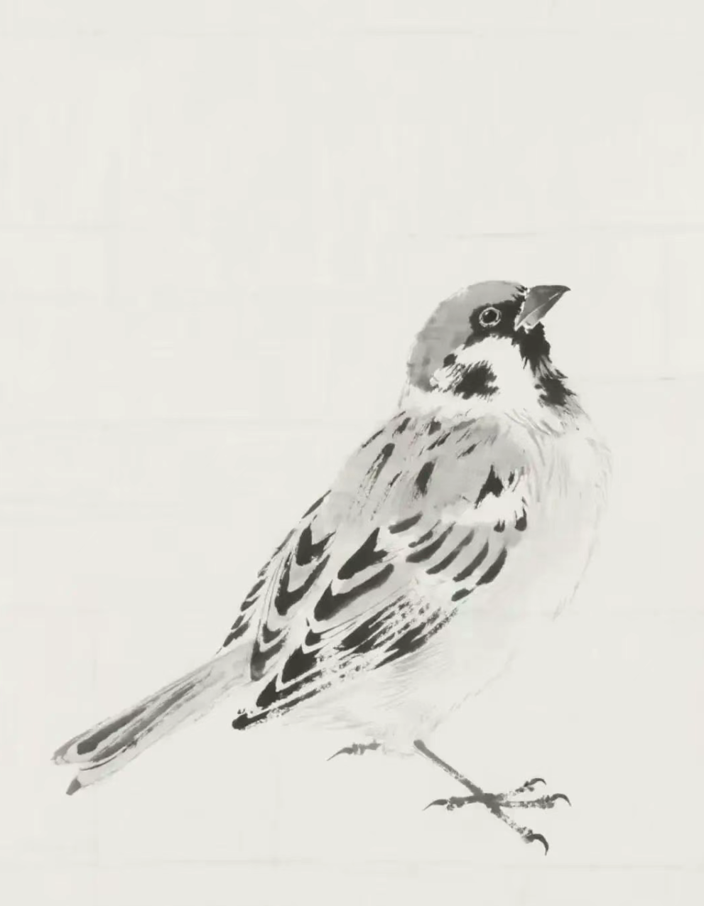 一分钟学会画小麻雀，简单几步即可上手！