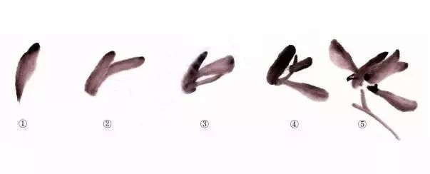 国画兰花绘画技法