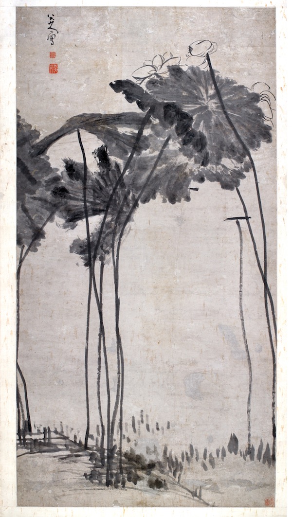 1769613945013_TXRSwz_1769613945482