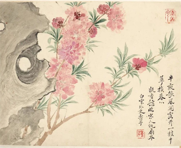 恽寿平的《瓯香馆写生册》 清新洒脱