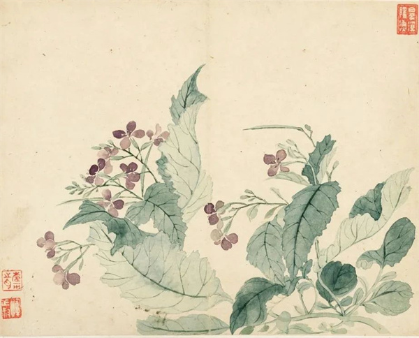 恽寿平的《瓯香馆写生册》 清新洒脱