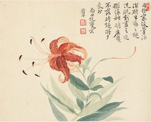 恽寿平的《瓯香馆写生册》 清新洒脱