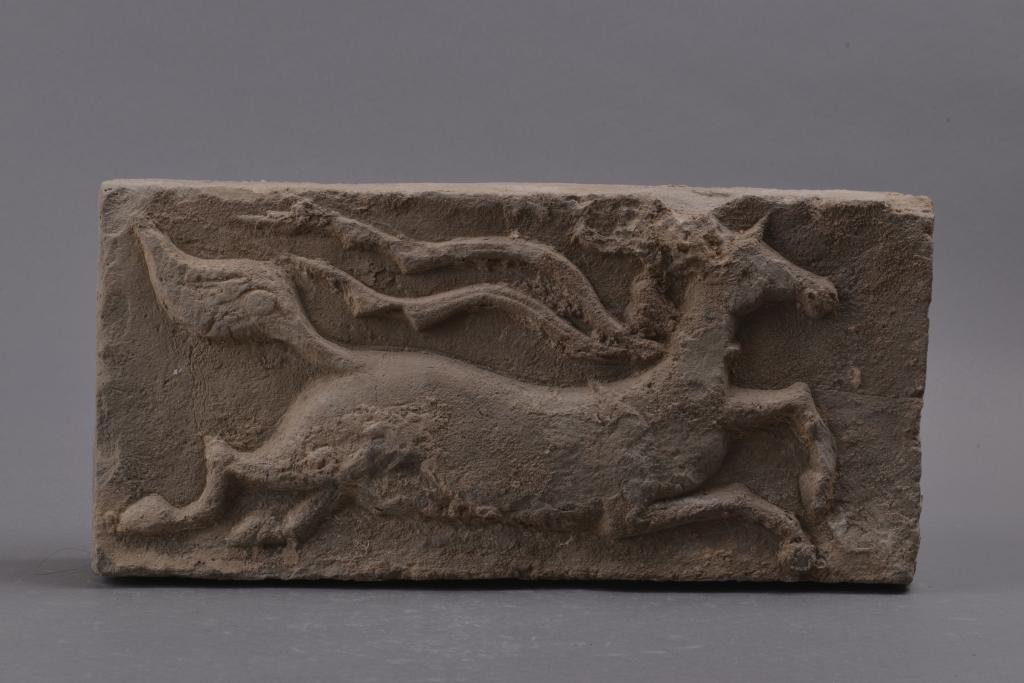 20260225d143bec2607c4bfcab2a1271012ad9ec_e5943f6e01774b4fad1e07f920af65c6