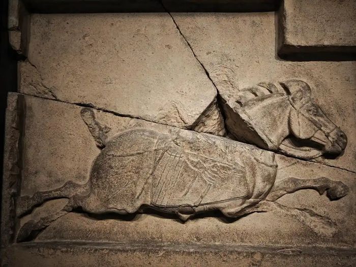 90e240d8-0fba-4a9a-b7cf-f97b9c529779