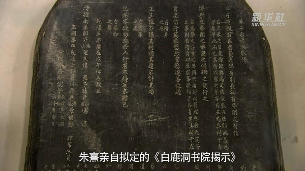 202603025dde469c2eba4c4f9374bed63fba63cb_202603028d04543571dd427f92eb8cb39d48759e