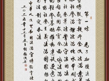 书·法 胡振民：法治宣传教育法第一条