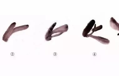 国画兰花绘画技法