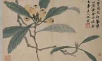 珠圆玉润：历代名家画枇杷