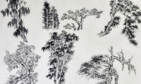 国画的山水画基本画法–画树法