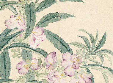 恽寿平的《瓯香馆写生册》 清新洒脱